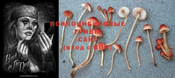 стафф Краснотурьинск